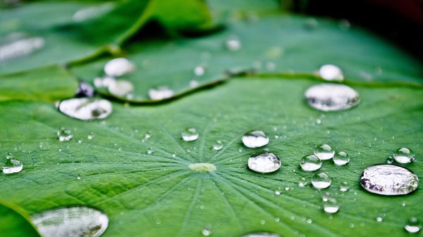 铁氟龙涂层的种类及性能特点---东莞市鑫氟五金有限公司